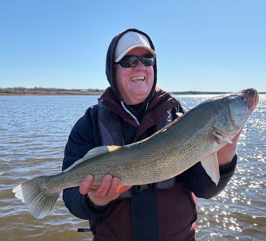 Walleye