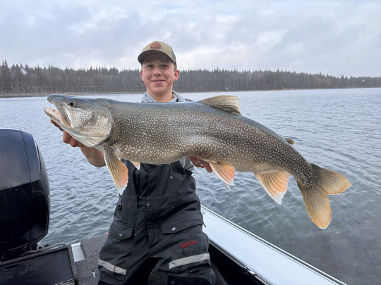 Lake Trout