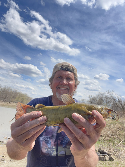 Bullhead