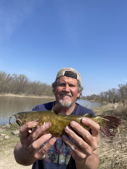 Bullhead