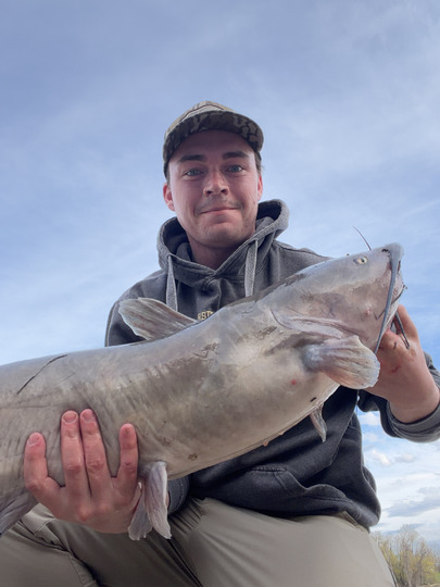 Channel Catfish
