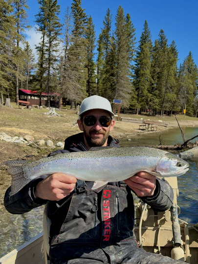 Rainbow Trout