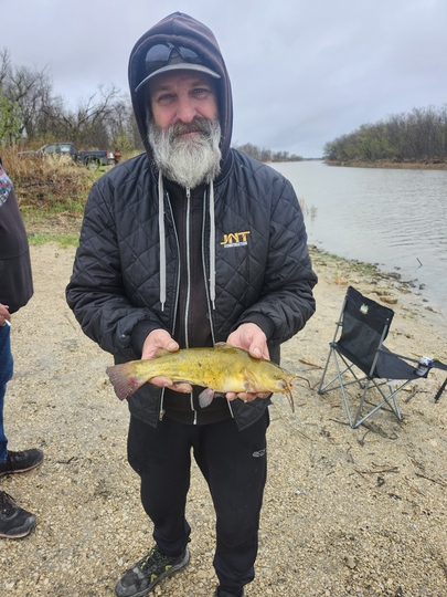 Bullhead
