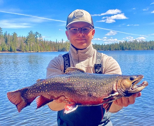 Brook Trout