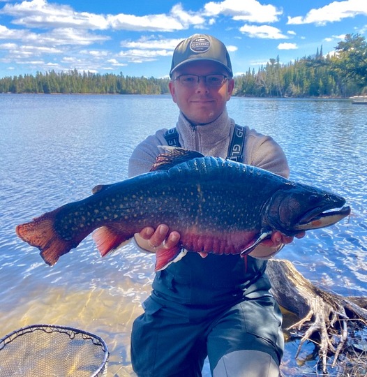 Brook Trout