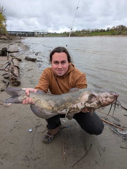 Channel Catfish