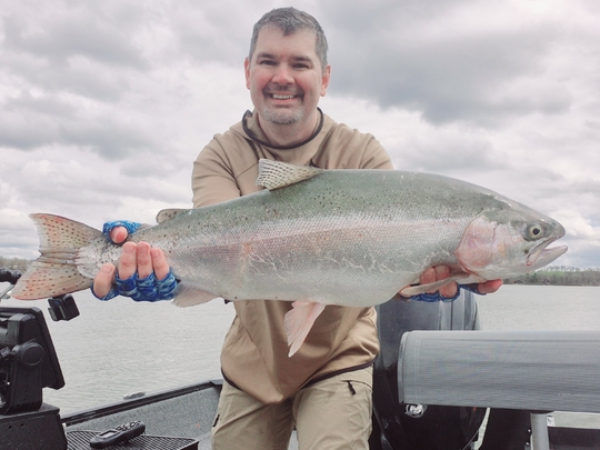 Rainbow Trout