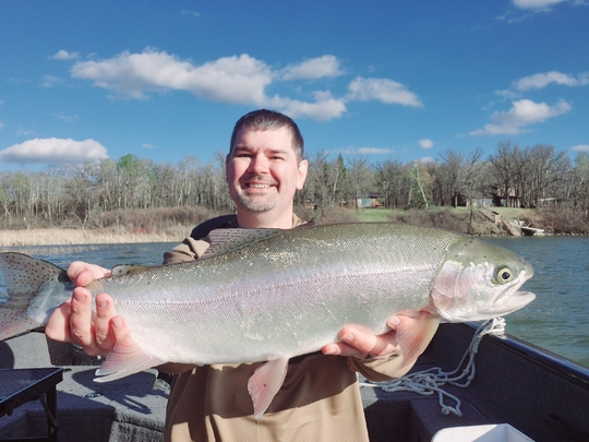 Rainbow Trout