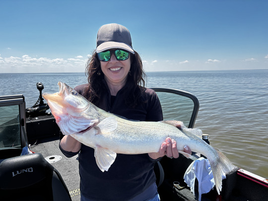 Walleye
