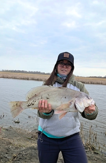 Freshwater Drum