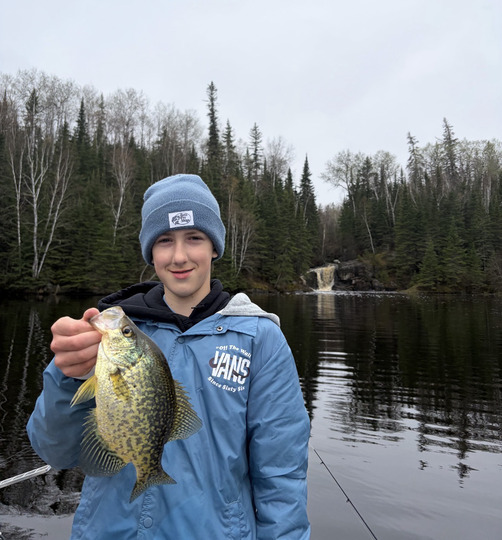 Black Crappie