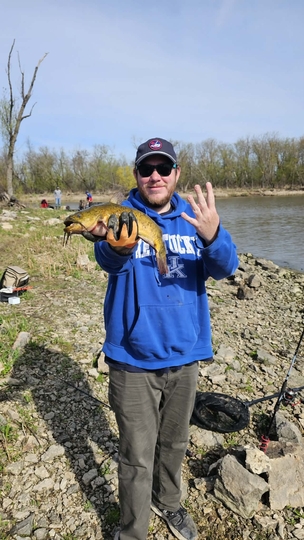 Bullhead