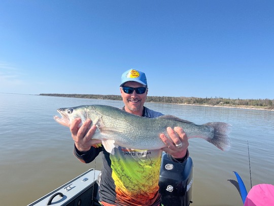 Walleye