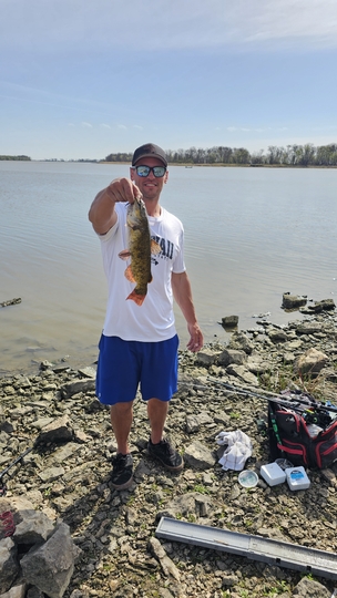 Bullhead