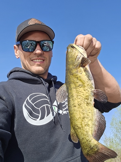 Bullhead
