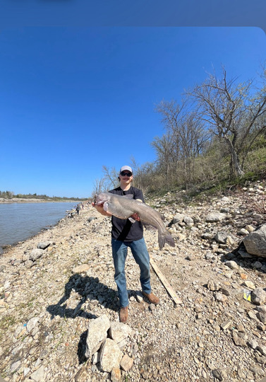 Channel Catfish
