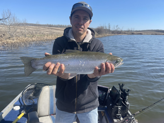 Rainbow Trout