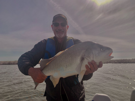 Freshwater Drum
