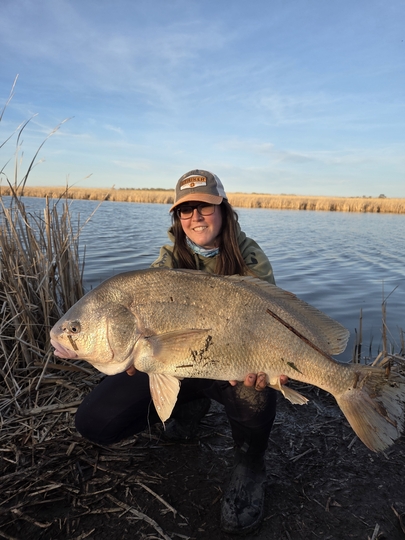 Freshwater Drum