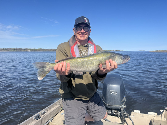 Walleye