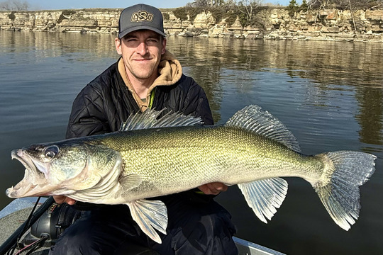 Walleye