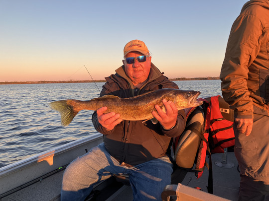 Walleye