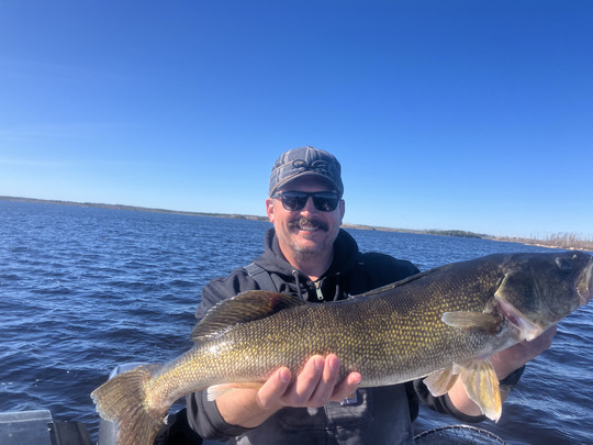 Walleye