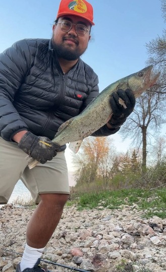 Walleye
