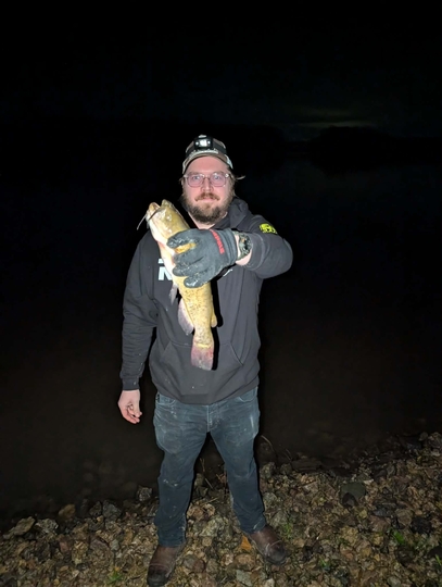 Bullhead