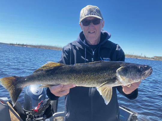 Walleye