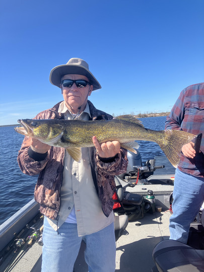 Walleye