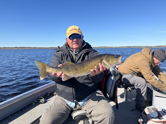 Walleye