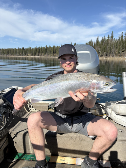Rainbow Trout