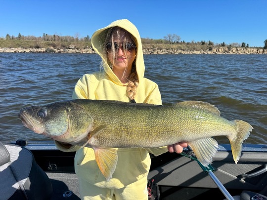 Walleye