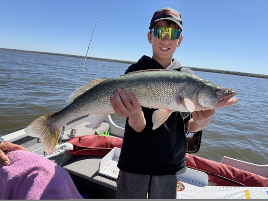 Walleye