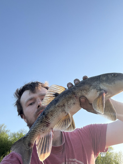 Sucker