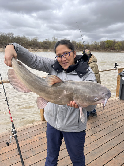 Channel Catfish