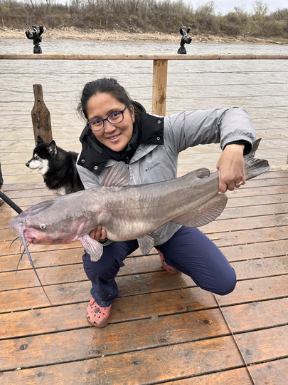 Channel Catfish