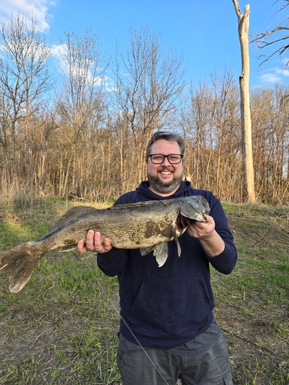 Walleye