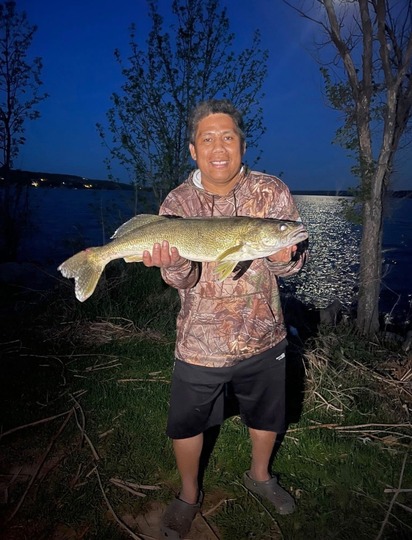 Walleye