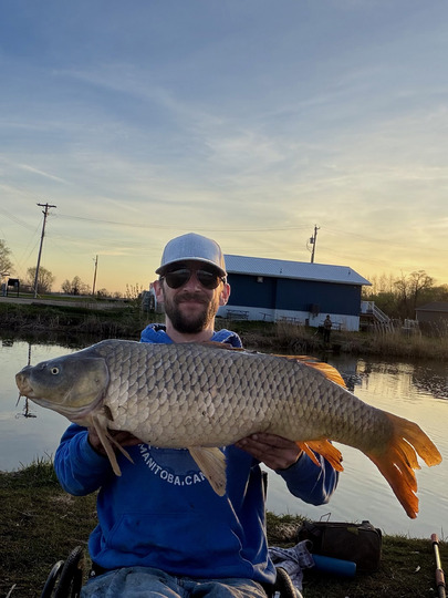 Common Carp