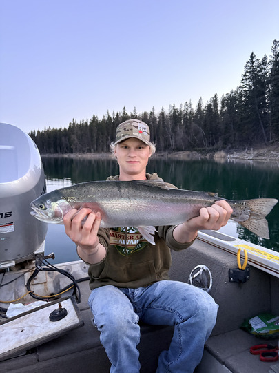 Rainbow Trout