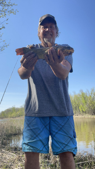 Bullhead