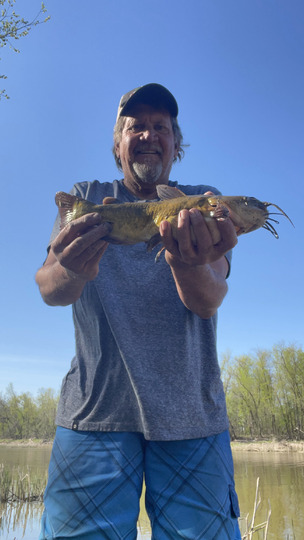 Bullhead