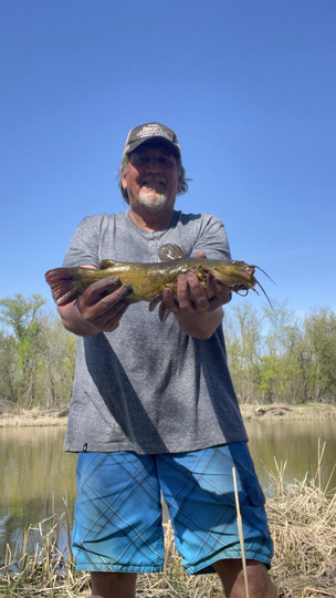 Bullhead
