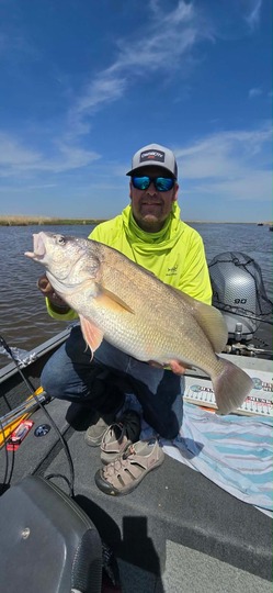 Freshwater Drum