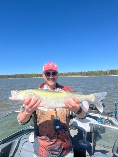 Walleye