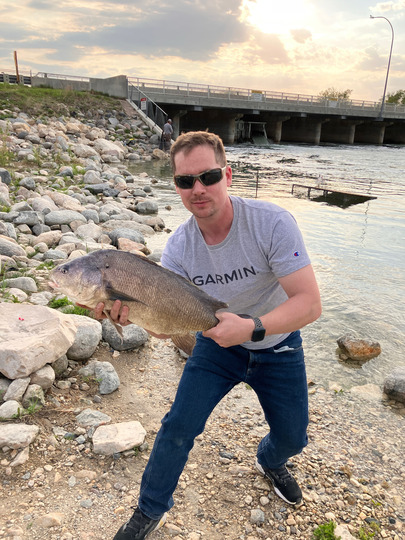 Freshwater Drum