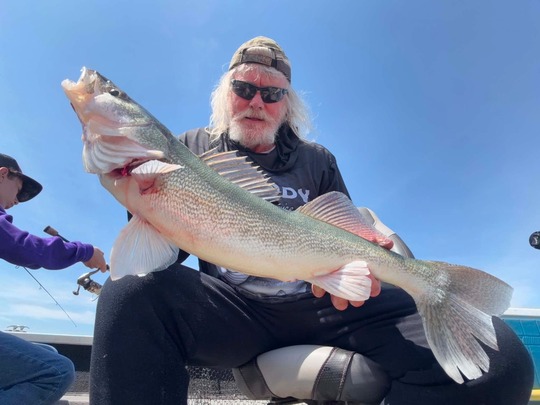 Walleye