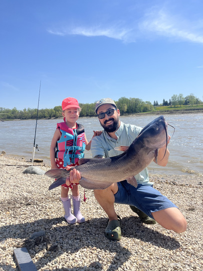Channel Catfish